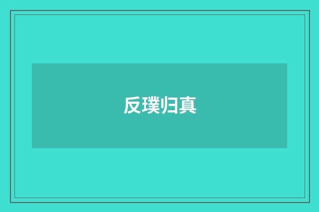 反璞归真