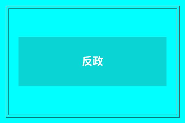 反政