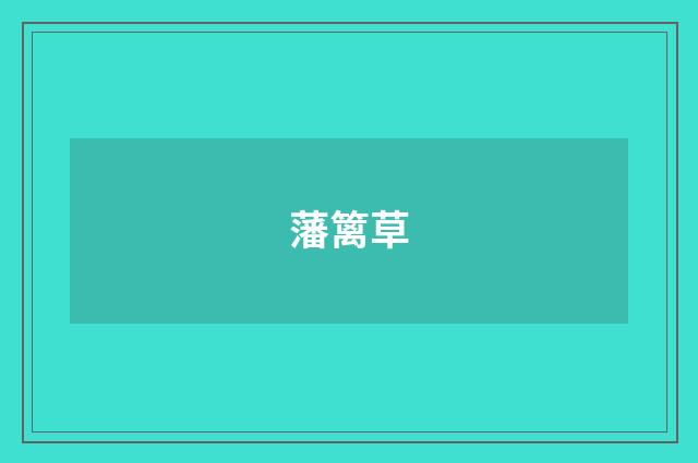 藩篱草