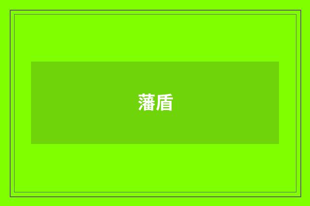 藩盾