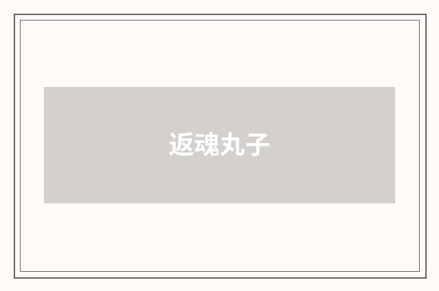 返魂丸子