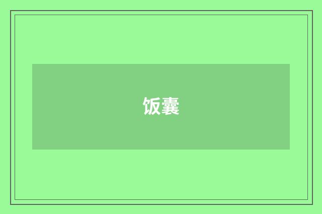 饭囊