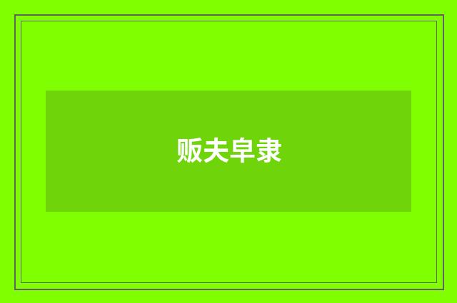 贩夫皁隶