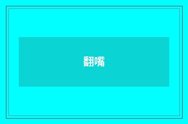 翻嘴