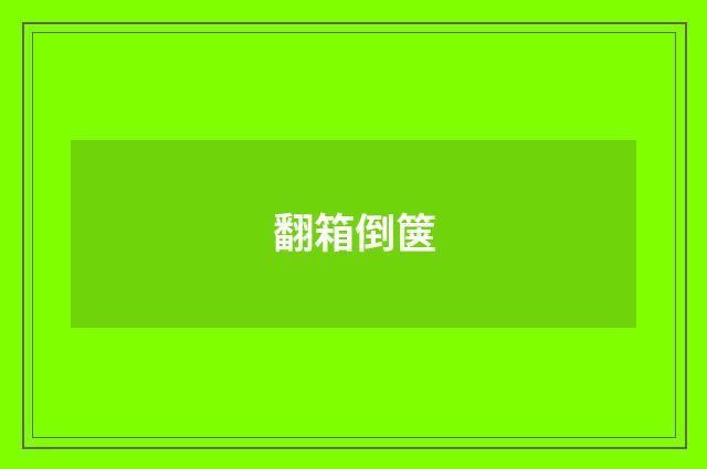 翻箱倒箧