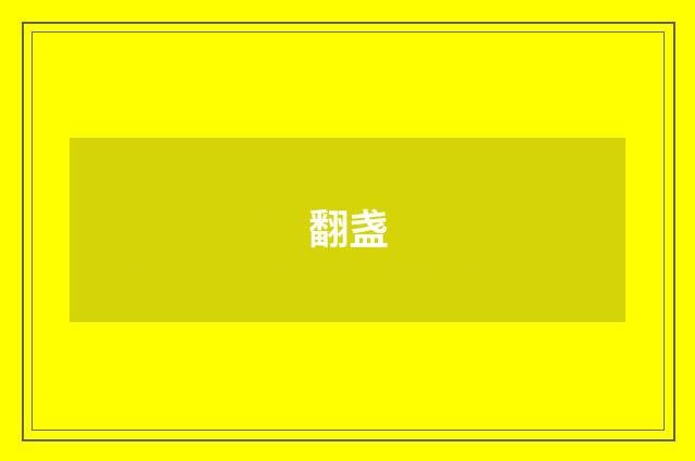 翻盏