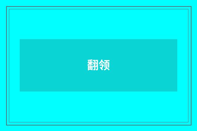 翻领
