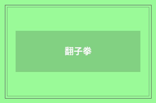 翻子拳