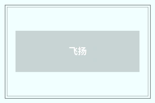 飞扬