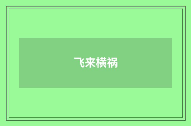 飞来横祸