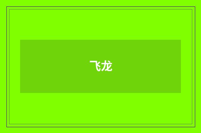 飞龙