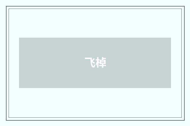 飞棹