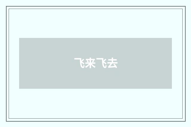 飞来飞去