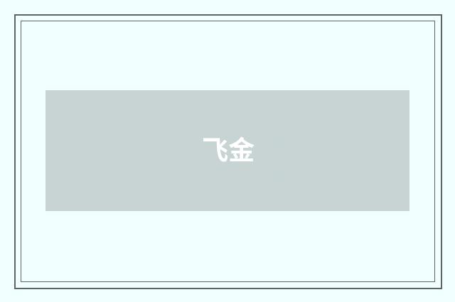 飞金
