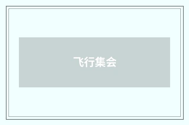 飞行集会
