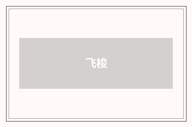 飞梭