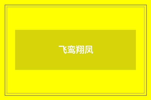 飞鸾翔凤