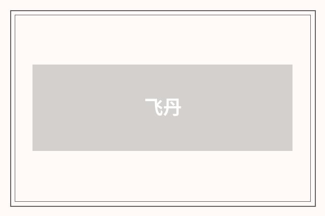 飞丹