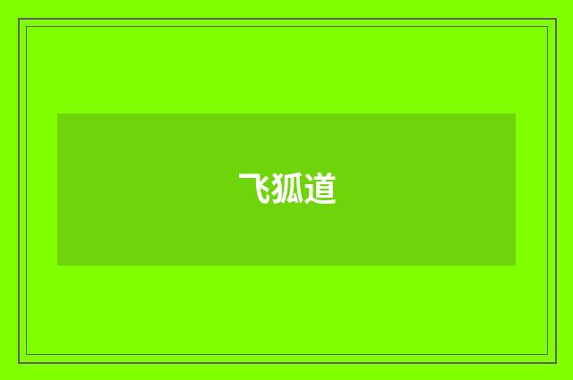 飞狐道