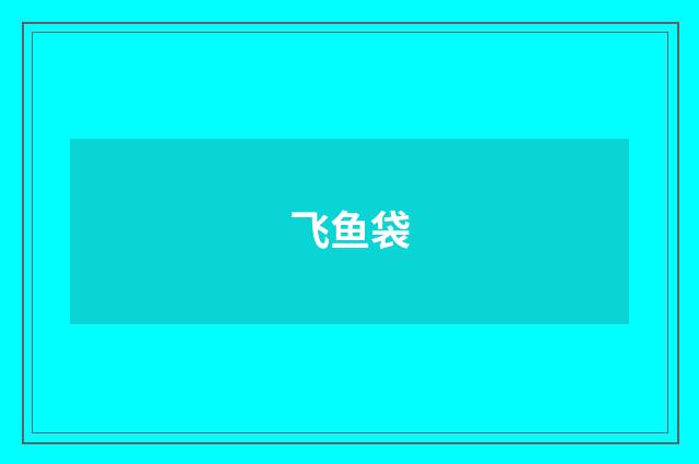 飞鱼袋