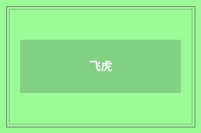 飞虎