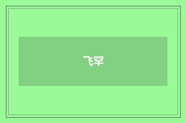 飞罕