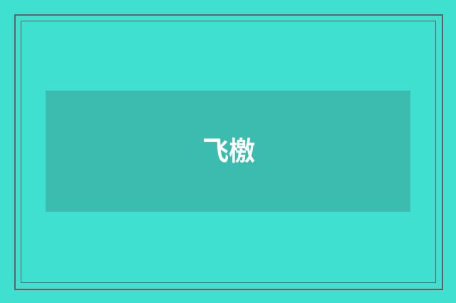 飞檄