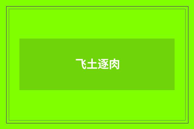 飞土逐肉