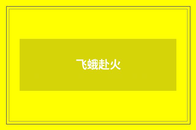 飞蛾赴火