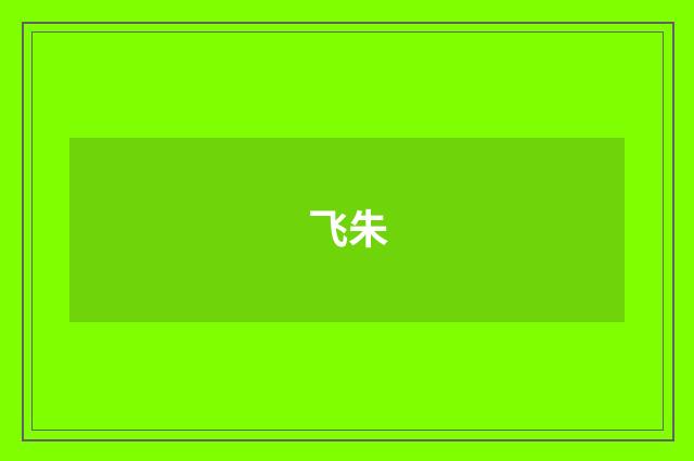 飞朱