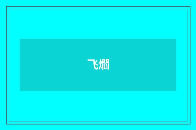 飞爓