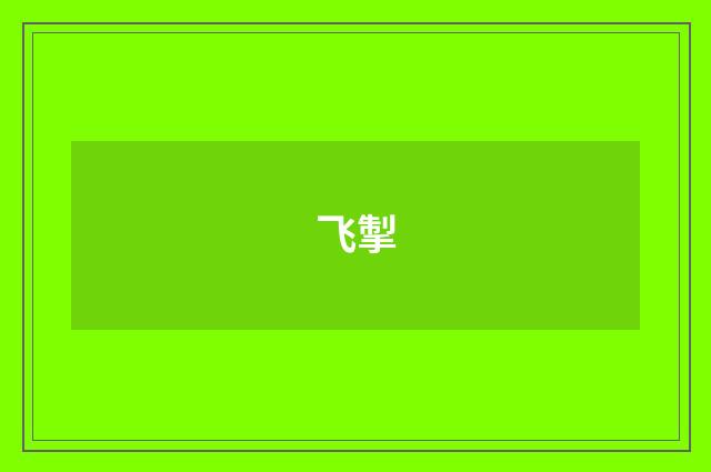 飞掣