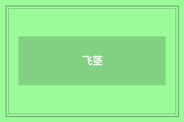 飞茎