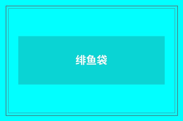 绯鱼袋