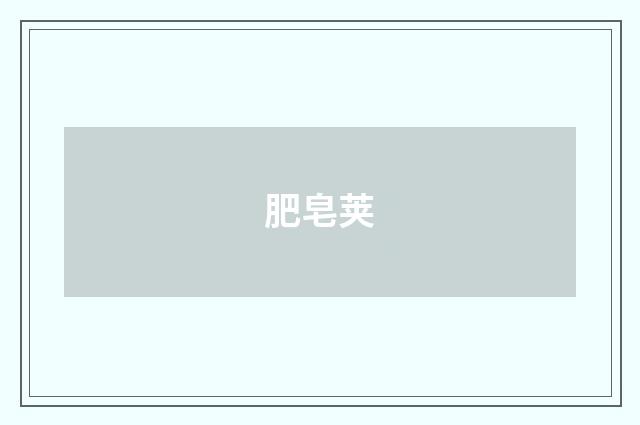 肥皂荚