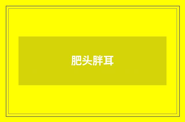 肥头胖耳