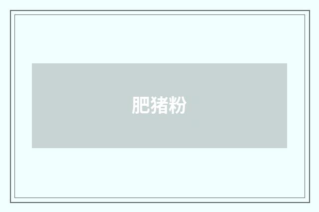 肥猪粉