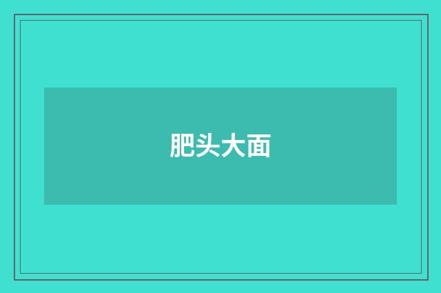肥头大面