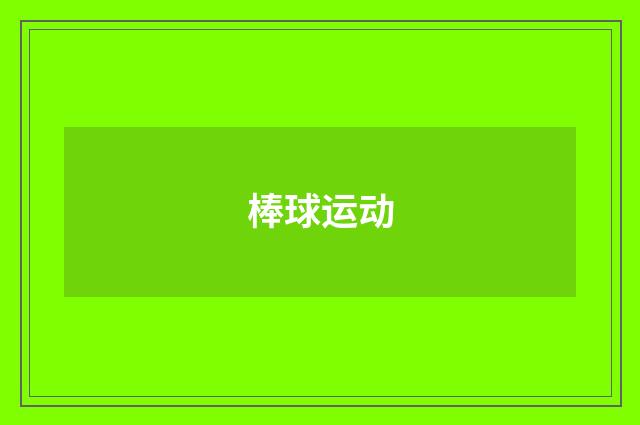 棒球运动
