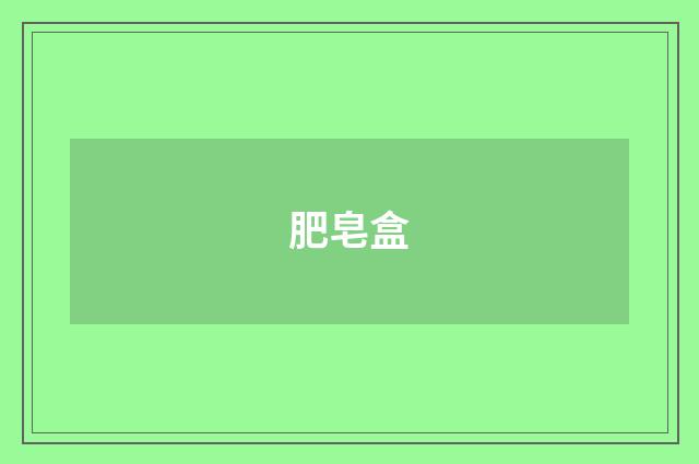 肥皂盒