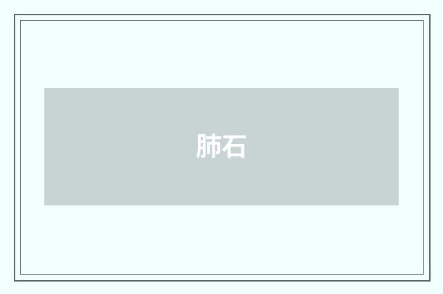 肺石