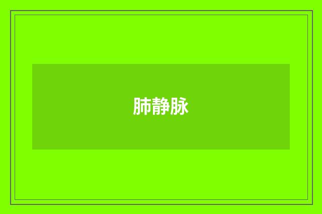 肺静脉