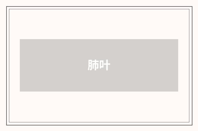 肺叶