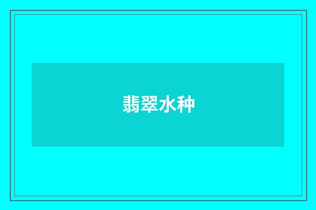 翡翠水种