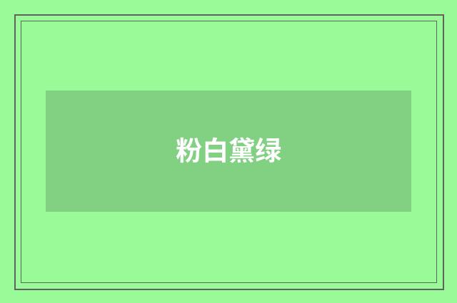 粉白黛绿