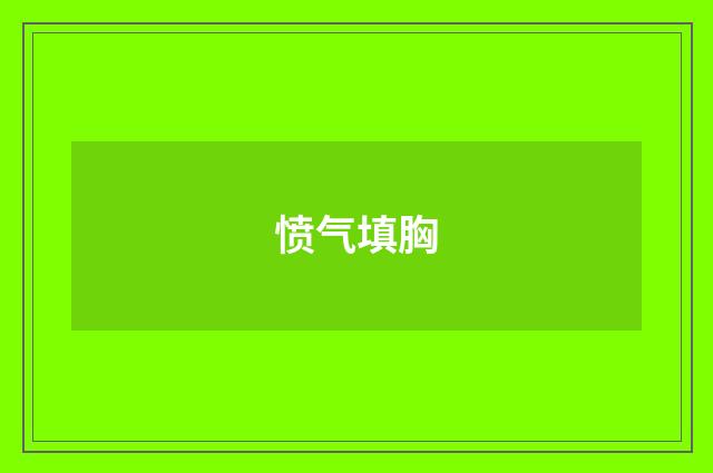 愤气填胸