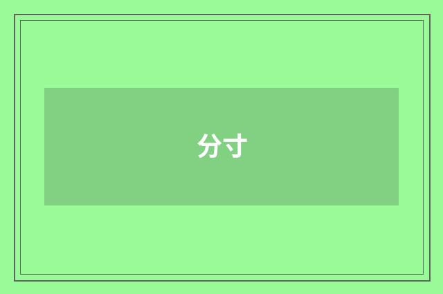 分寸