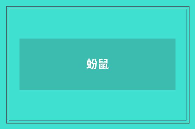 蚡鼠