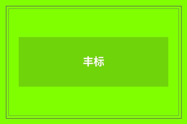 丰标