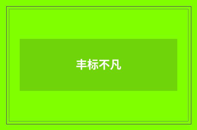 丰标不凡